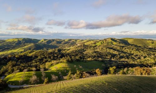 Daou-Mountain.-Credit-Daou-winery-920x609-1