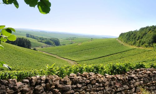 louisjadot